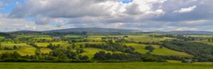 East West Rail Alliance Putting the Environment First