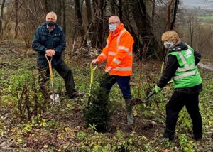 Thousands of trees planted as Network Rail’s £1 million pledge takes root across the country